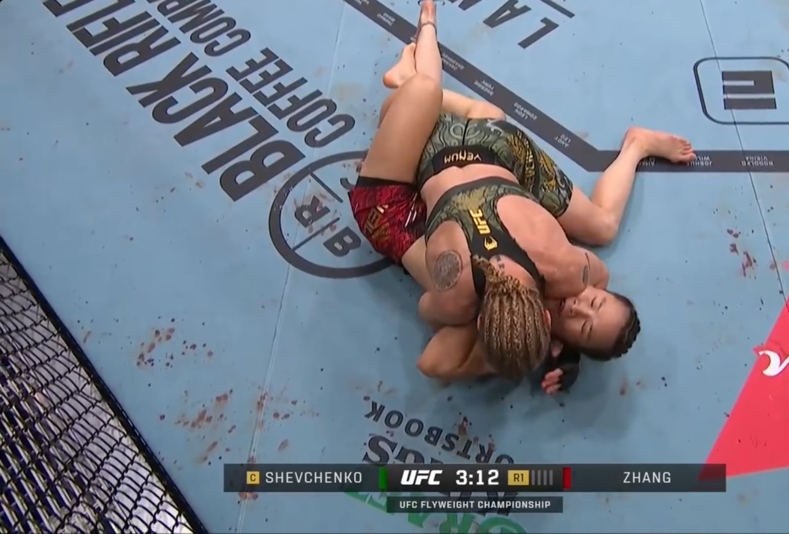 张伟丽挑战蝇量级冠军舍